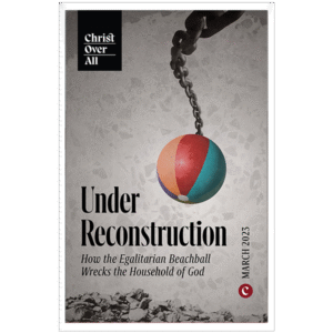 Under Reconstruction: How the Egalitarian Beachball Wrecks the Household of God