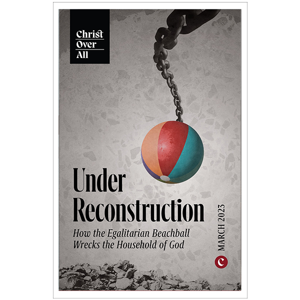 Under Reconstruction: How the Egalitarian Beachball Wrecks the Household of God