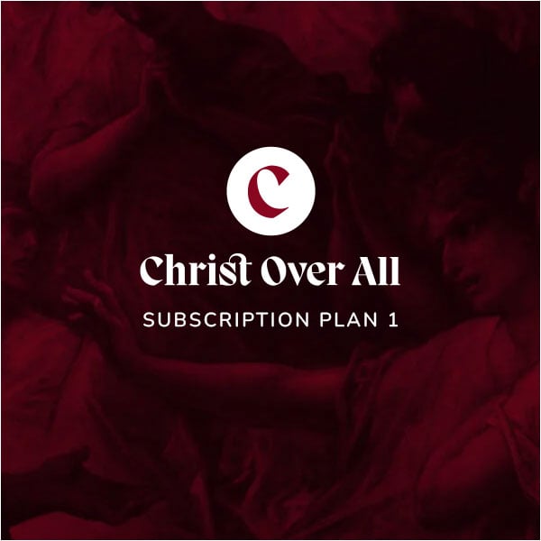 Subscription Plan 1