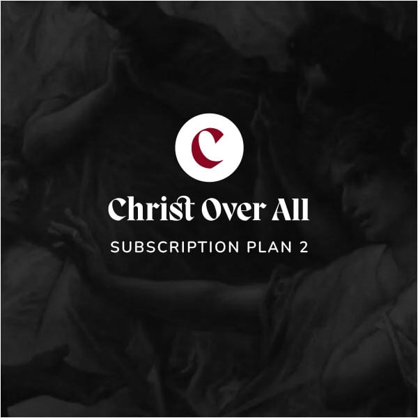 Subscription Plan 2