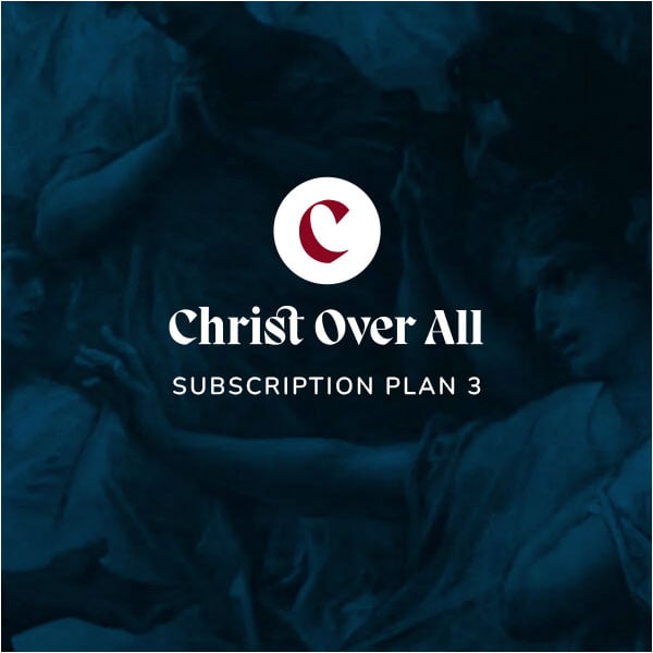 Subscription Plan 3